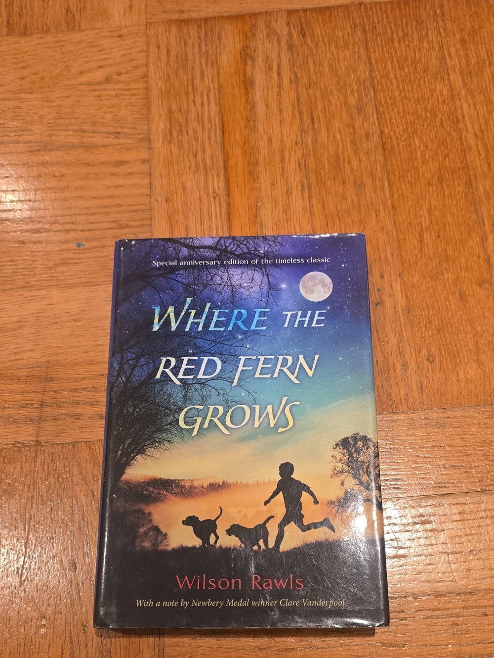 Where the Red Fern Grows by Wilson Rawls - Blue/Orange Gradient Cover